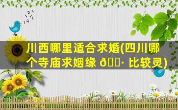 川西哪里适合求婚(四川哪个寺庙求姻缘 🌷 比较灵)